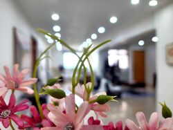 Blk 710 Clementi West Street 2 (Clementi), HDB Executive #597546241